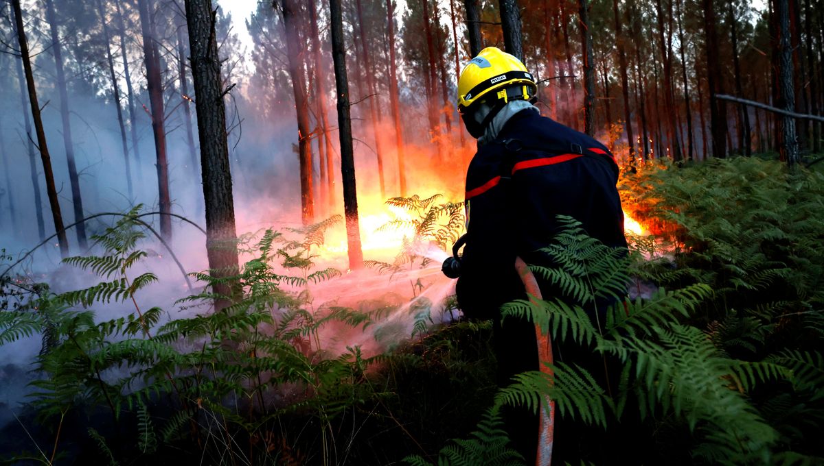 un incendie suspect a détruit plusieurs véhicules à vitry-le-françois. les autorités enquêtent sur l'origine criminelle du sinistre. découvrez les premiers éléments de l'enquête.