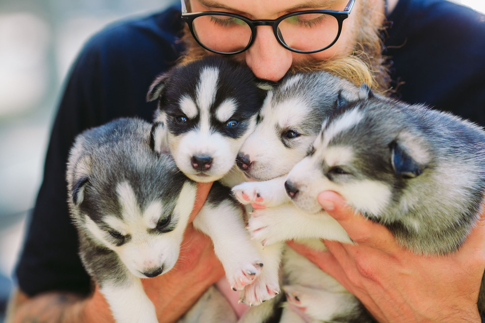 découvrez si le métier d'éducateur canin est rentable en explorant les salaires, les perspectives d'emploi et les facteurs influençant les revenus dans ce secteur.